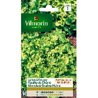 graine-semence graine-semence