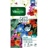 graine-semence graine-semence