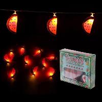 guirlande-electrique-lumineuse-interieure