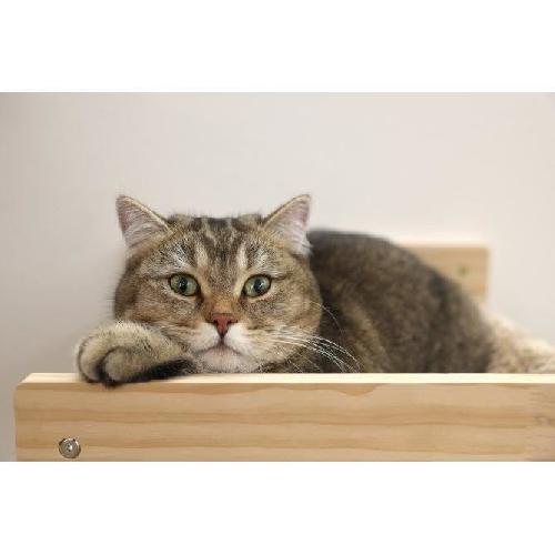 Corbeille - Panier - Coussin - Hamac Hamac mural pour chats - KERBL - TIMBER - 38 x 33.5 x 16 cm - Bois massif - Tissu peluche