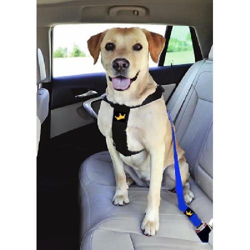 Harnais Animal Harnais de securite reglable pour chien - fidelami