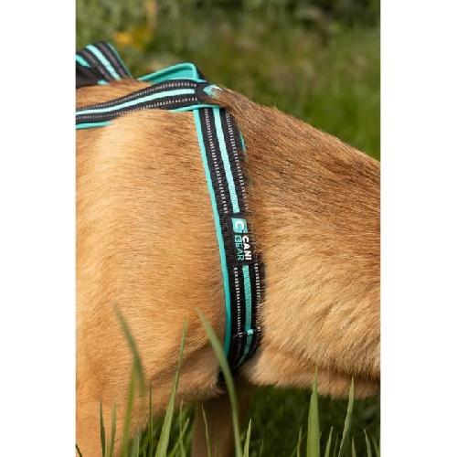 Harnais Animal Harnais de traction pour chien - OLYMPIA - M - Type X-back - Bleu