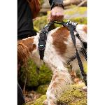 Harnais Animal Harnais pour chien - SYMBIOZ - L - Noir - Bleu