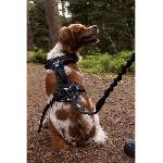 Harnais Animal Harnais pour chien - SYMBIOZ - S - Noir - Bleu