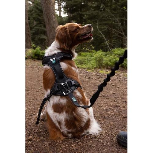 Harnais Animal Harnais pour chien - SYMBIOZ - S - Noir - Bleu