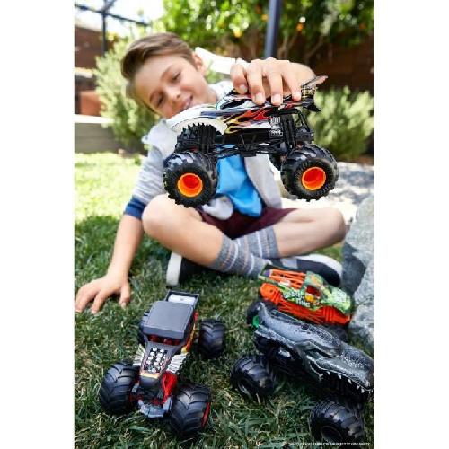 Vehicule Miniature Assemble - Engin Terrestre Miniature Assemble Hot Wheels - Monster Truck 1:24 (Modele aléatoire) - Petite Voiture - 3 ans et + - Hot Wheels - FYJ83