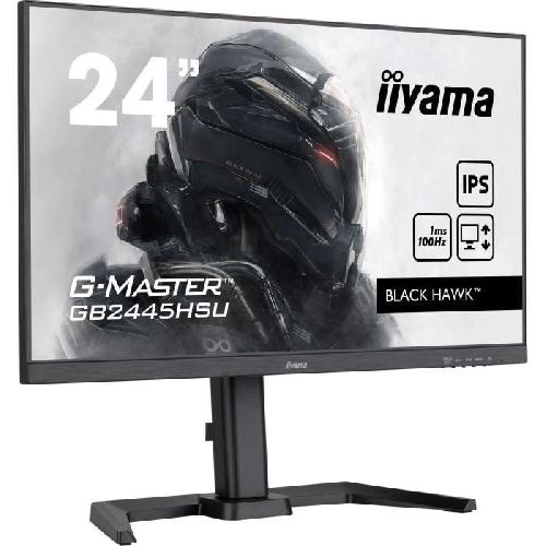 Ecran Ordinateur IIYAMA GB2445HSU-B2
