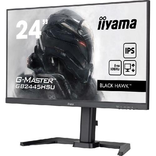 Ecran Ordinateur IIYAMA GB2445HSU-B2