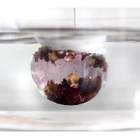 infuseur-passoire-a-the