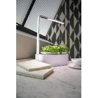 jardin-miniature-aerogarden jardin-miniature-aerogarden