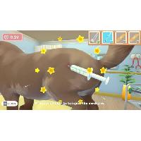 Jeux Video My Universe - PET CLINIC Panda Edition Jeu Switch