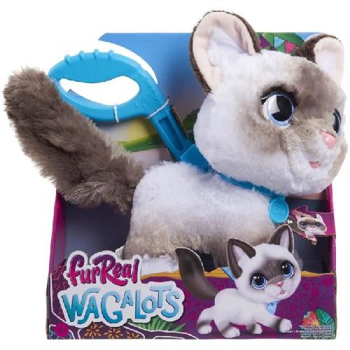 Peluche Jouet interactif - FURREAL FRIENDS - Chaton Grand Marcheur 23 cm - Animal interactif avec laisse