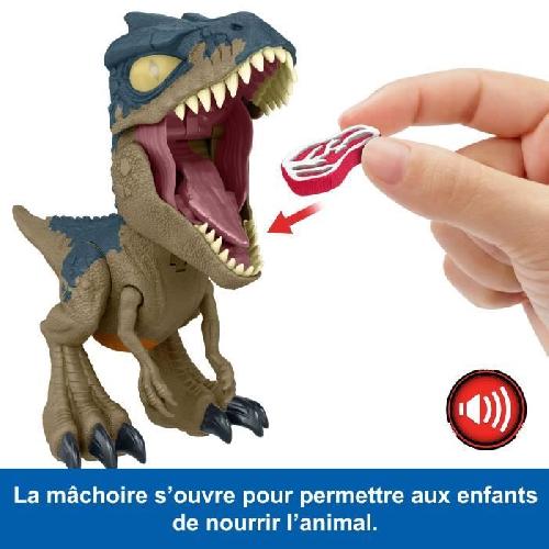 Figurine Miniature - Personnage Miniature Jurassic World : Chomp-Allosaurus Méga Rugissement-figurine de dinosaure HVB45