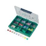 Kit 100 Mini fusibles 2A 3A 4A 5A 7.5A 10A 15A 20A 25A 30A