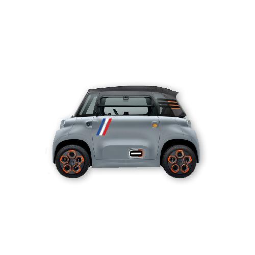Stickers Multi-couleurs Kit Autocollants Deco Ami France -2 Cotes- Pour Voiture Sans Permis Abs