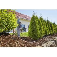 kit-complet-d-arrosage