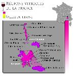 Vin Rouge La Fiole du Pape Chateauneuf du Pape - Vin rouge de la Vallee du Rhone