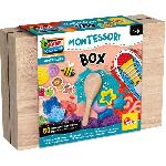 Laboratoire éducatif - LISCIANI - Montessori - 50 expériences - Matériel complet - Activités ludiques et pédagogiques