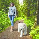 Laisse - Sangle - Accouple Laisse mains libres - KURGO - QUANTUM - 6 positions - 120 a 180 cm - Bleu