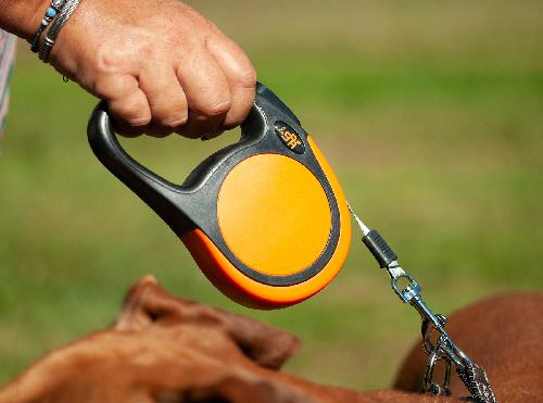 Laisse - Sangle - Accouple laisse retractable SPA orange - Fidelami