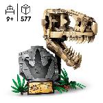 Jeu D'assemblage - Jeu De Construction - Jeu De Manipulation LEGO 76964 Jurassic World Les Fossiles de Dinosaures : Le Crâne du T. Rex. Jouet de Dino. Déco pour la Chambre d'Enfant
