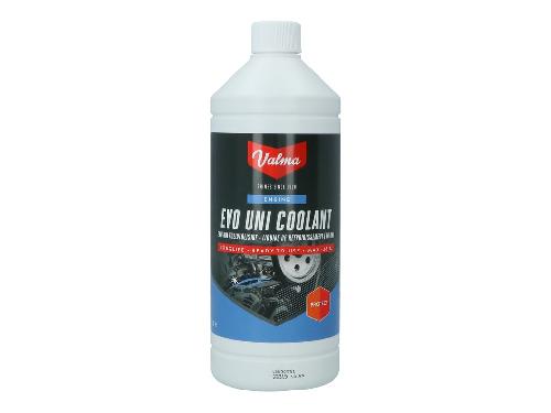 Liquide De Refroidissement Liquide De Refroidissement -38oC 1 Litre Valma W56