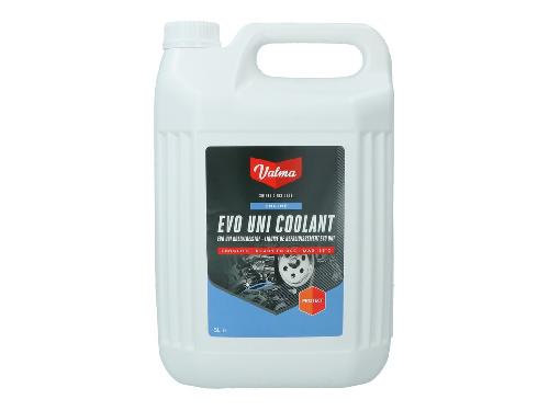 Liquide De Refroidissement Liquide De Refroidissement -38oC 5 Litres Valma W58
