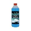 Liquide Lave-glace LAVE GLACE CONCENTRE 1 Litre