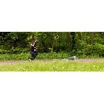 Longe - Licol Longe de traction pour chien - INTENSIA - 1.9 m - Double poignee