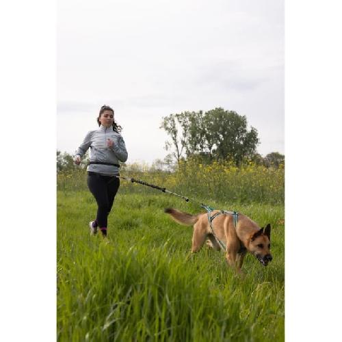 Longe - Licol Longe de traction pour chien - INTENSIA - XL - 2.4 m - Chien +25 kg - Noir