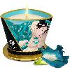 Massage - Huiles bougies Bougie de massage Lueur et Caresse Fleurs des Iles - 170 ml