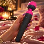 Stimulateurs externes Masseur PalmPower rechargeable USB 19.5cm
