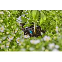 materiel-produit-entretien-arrosage