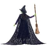 Poupee Mattel-Wicked-Poupée Elphaba avec cheveux tressés et multiples poses - Wicked - HXY38