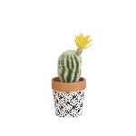Fleur-plante Artificielle - Fleur Sechee Mini Cactus laineux fleuri - En pot ethnique noir