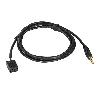 Modules Aux Autoradio Adaptateur AUX IN compatible avec BMW 10 pin 150cm