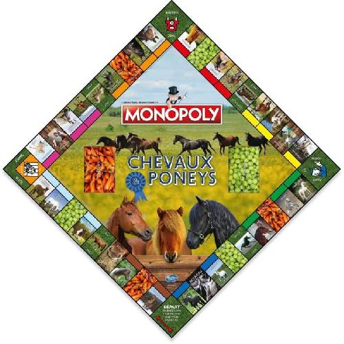 Jeu De Societe - Jeu De Plateau Monopoly Chevaux et Poneys - Winning Moves - Jeu de plateau - Enfant - Jeu d'ambiance - Vert