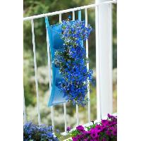 mur-vegetal-stabilise-tableau-vegetal-stabilise