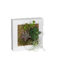 mur-vegetal-stabilise-tableau-vegetal-stabilise