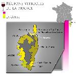 Vin Blanc Muscadellu - Muscat Corse Pétillant