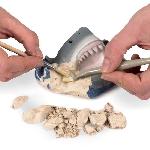 Decouverte Nature - Decouverte Animaux - Decouverte Insectes NATIONAL GEOGRAPHIC - Kit de fouille - 3 fossiles de dents de requins a extraire