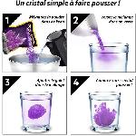 Experience Scientifique - Experience Physique-chimie NG Kit de Cristaux violet