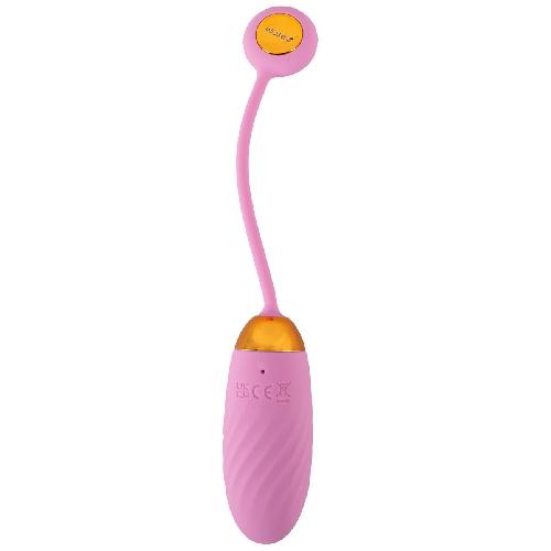 Oeufs Vibrants Oeuf Vibrant Connecte USB Ella Neo Rose