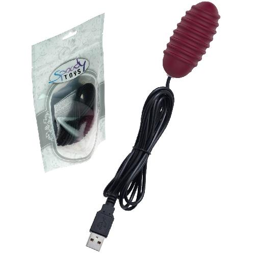 Oeuf Vibrant Filaire USB en Silicone