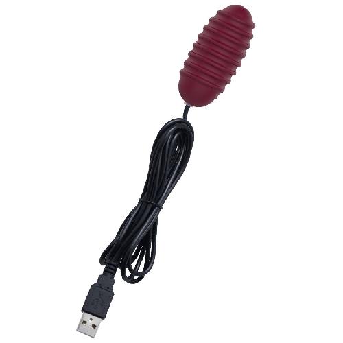 Oeuf Vibrant Filaire USB en Silicone