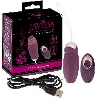 Oeufs Vibrants Oeuf USB Telecommande Avec billes Rotatives