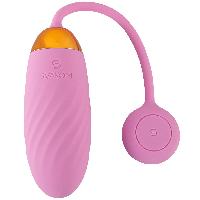 Oeufs Vibrants Oeuf Vibrant Connecte USB Ella Neo Rose