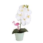 Fleur-plante Artificielle - Fleur Sechee Orchidee blanche - En pot pastel vert d'eau