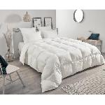 Oreiller Oreiller TOISON D'OR Daisy en plumette et duvet 50x70cm - Blanc