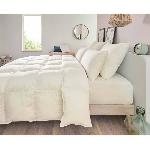 Oreiller Oreiller TOISON D'OR Pollux Confort ferme 65x65cm Blanc